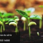 Lista de normas da série ABNT NBR ISO 14000