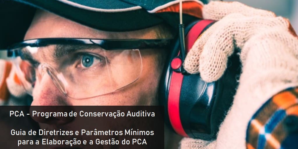 PDF - PCA – Programa de Conservação Auditiva